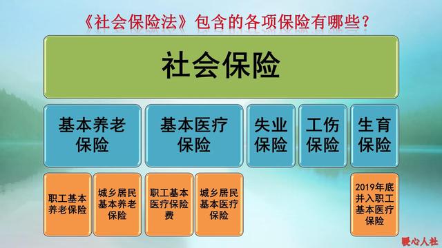 社保都包括什么，社保包括什么（个人缴费＋单位缴费＝个人账户钱数吗）