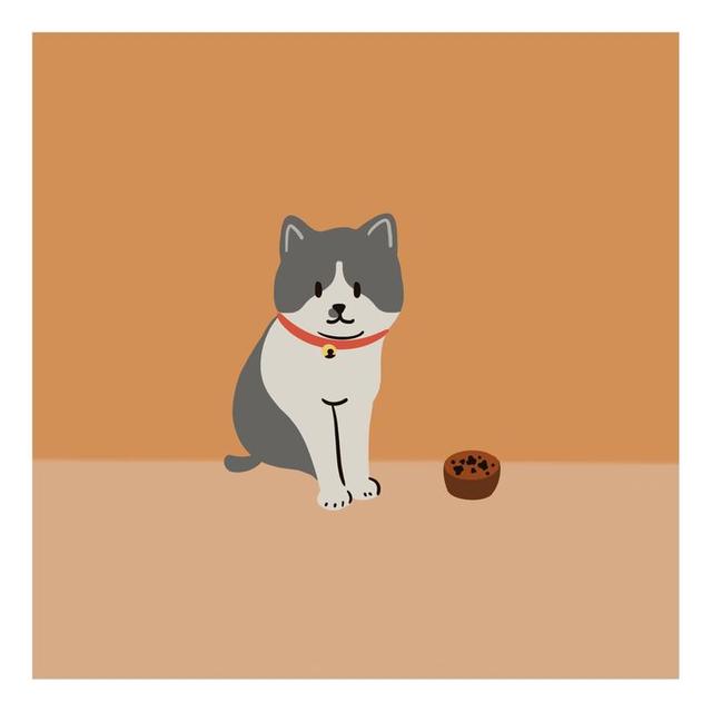 美好阳光且干净的女生头像  星空迷上了山野微信，美好阳光且干净的女生头像  星空迷上了山野，有雾有灯也有归人。（有哪些好看非人物的头像）