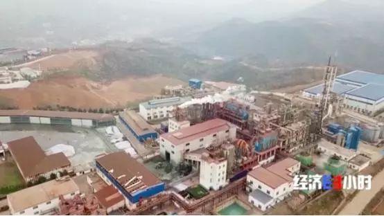 央视公认的再生人案例（触目惊心）