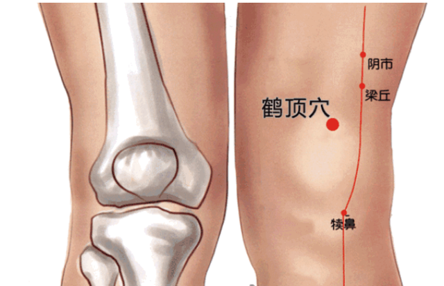 鱼腰的准确位置和作用，个个都是穴位学中的高手