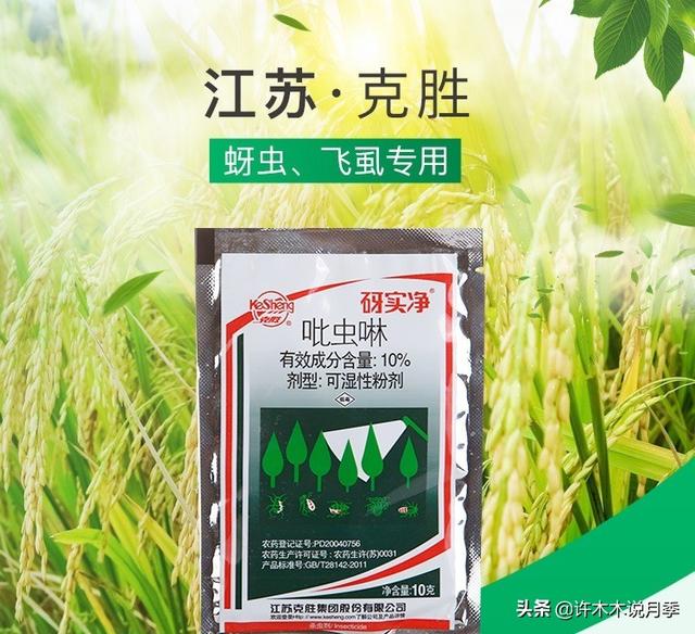 月季常见病虫害及防治方法，月季的病虫害防治（十二种月季常见病害防治教程）