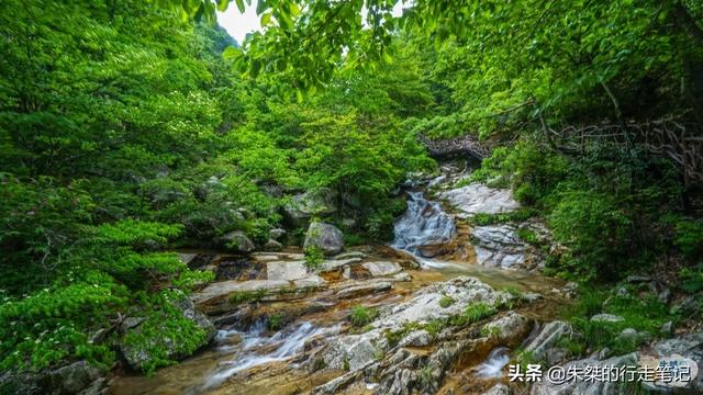 大别山在哪个省，千里跃进大别山在哪个省（横跨鄂豫皖三省的大别山）