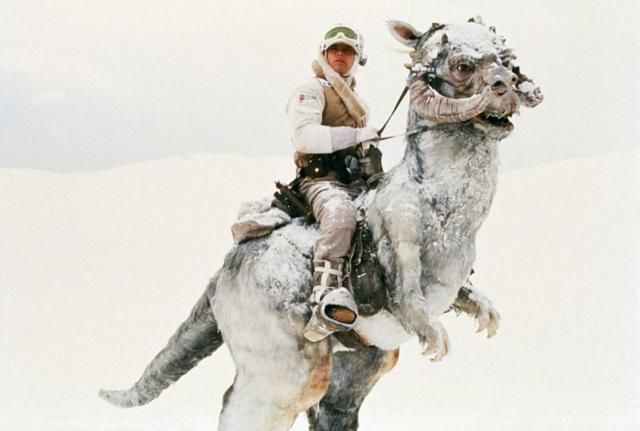 imdbtop250电影排行榜，imdbt（TOP250电影）