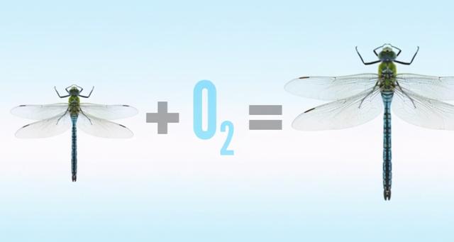 蜈蚣是昆虫吗为什么，蜈蚣属于昆虫吗为什么（如果地球上氧气含量突然增加一倍）