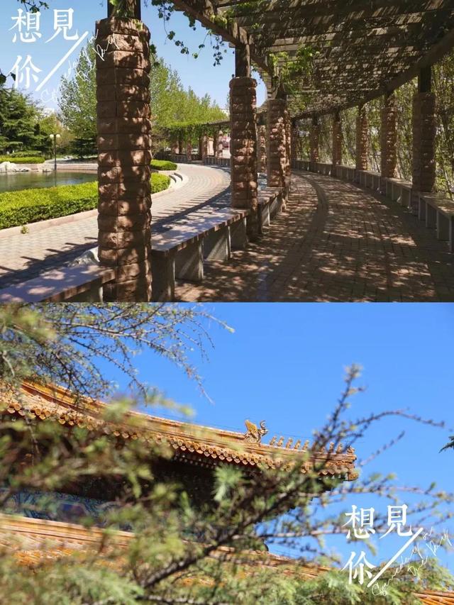 南开大学滨海学院是几本，南开大学滨海学院排名多少是几本（<一>南开大学滨海学院）