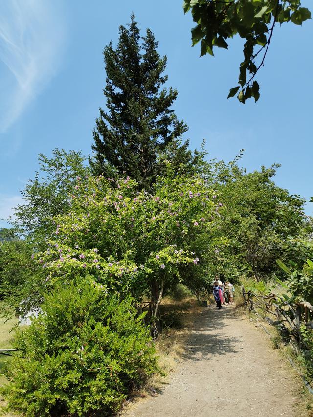 Diviner(占卜者)网名，Diviner(占卜者)微信昵称（环游土耳其<21>）