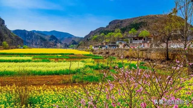 卫辉古村落免费景点，卫辉传统古村落乡村游成功入选国家乡村旅游学习体验线路300条