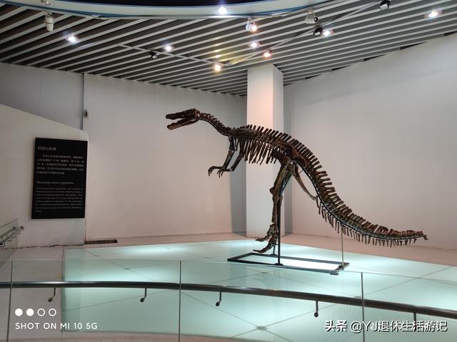 关于中国地质博物馆介绍，中国地质博物馆在哪个区（在烟台认识和了解自然与地质现象的好去处）