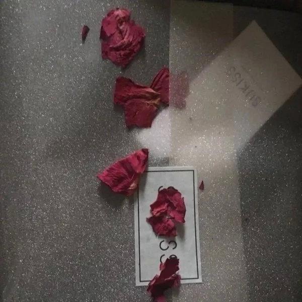 ins风简约背景，简约ins背景图（ins风格简约背景图壁纸）