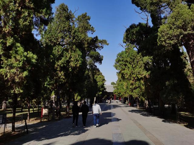 孔子的老家在哪里，孔子的家在哪里（孔子故里 东方圣城—曲阜）