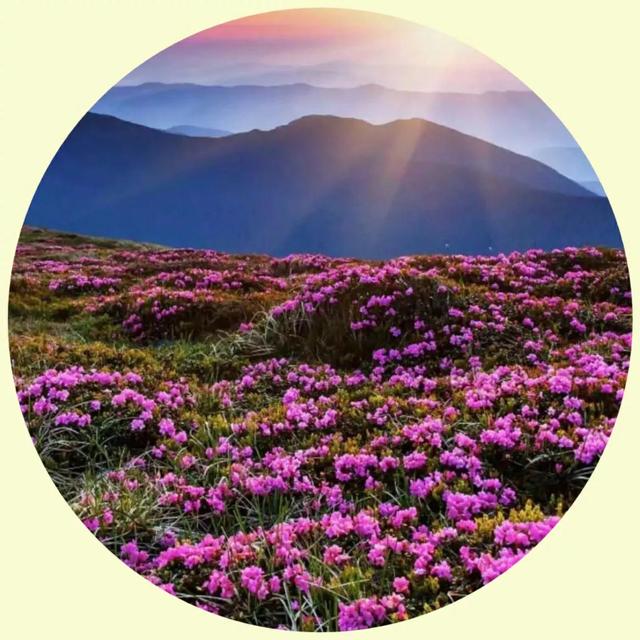 风景照片图片大全，微信头像，风景照片图片大全（令人心旷神怡的美景）