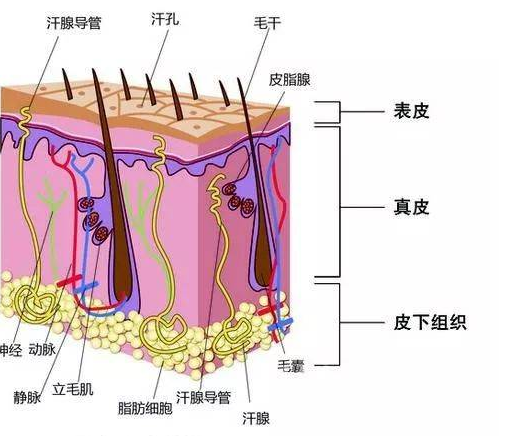 小妙招让头发立刻柔顺不干枯，怎样保养头发又黑又顺（洗头时注意这2点）
