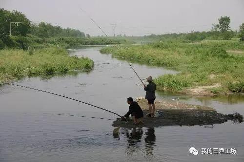 立秋后钓鱼黄金时段揭秘：掌握这三时，鱼获翻倍不落空
