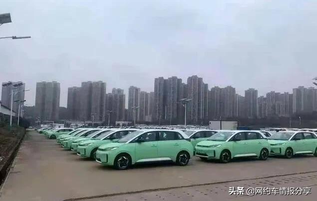 滴滴司机招募条件，滴滴司机招募条件是什么（滴滴D1正式上线）