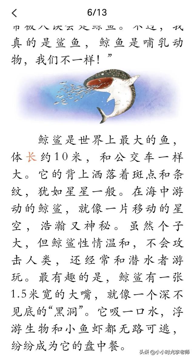 各种各样的动物，所有的常见动物名称（自然的故事-动物在说话《各式各样的便便》）