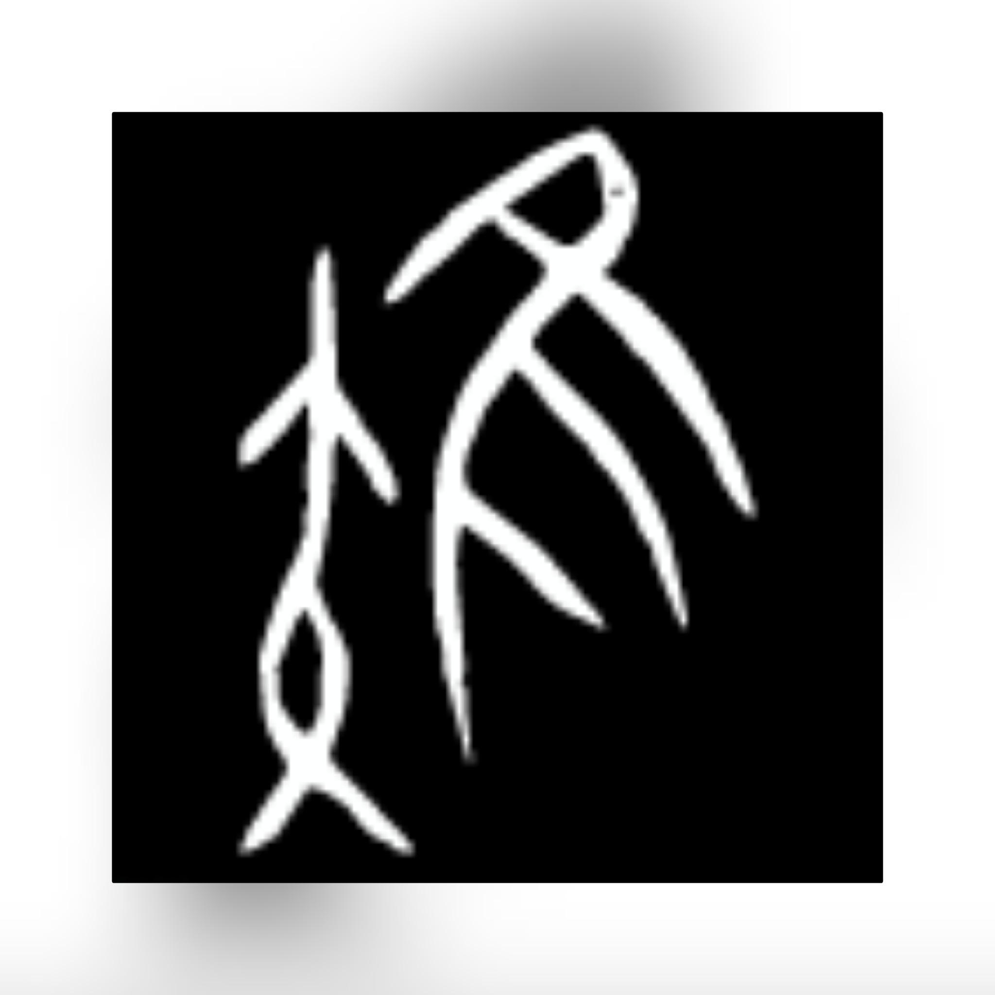 甲骨文"雉""隼"是一种猛禽,它们捕猎时,会先飞到猎物上方,然后将翅膀