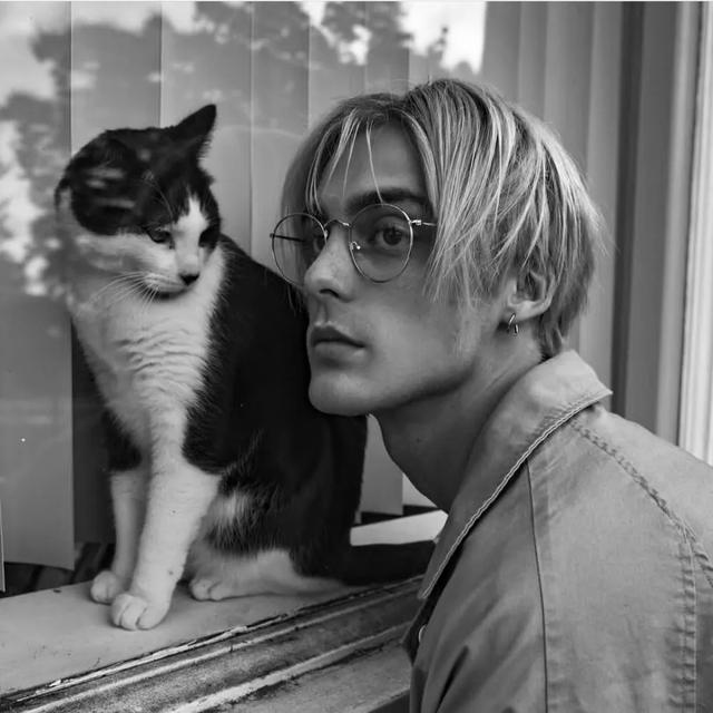 黑化头像微信，黑化头像（黑化头像和高冷壁纸的季节）