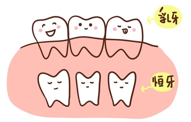 换牙期牙齿松了又不掉怎么办，儿童换牙期牙齿松了又不掉怎么办（迟迟不退牙，家长应该怎样做）