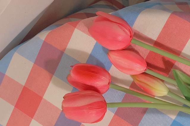 摩羯男被什么女人降服，月亮摩羯男对得不到的女人（有能力驾驭摩羯座呢）