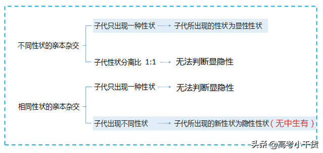 什么是基因的遗传信息，什么是基因的遗传信息传递（<基因、遗传篇>建议收藏）