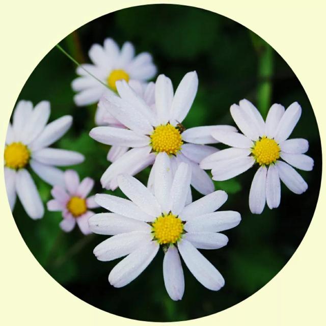 风景照片图片大全，微信头像，风景照片图片大全（令人心旷神怡的美景）