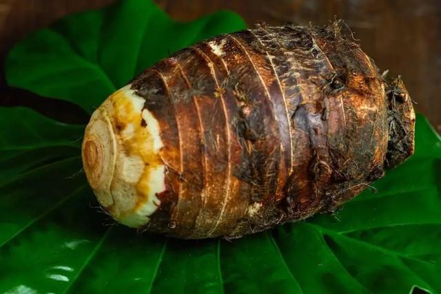 扣肉是哪里的菜，扣肉哪个城市最好吃最有名（为什么芋头会成为“扣肉”这道广东传统名菜中必备的搭配）