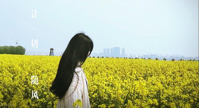 第一次跟女生约会流程，约会流程表情图（恋爱活动约会攻略）