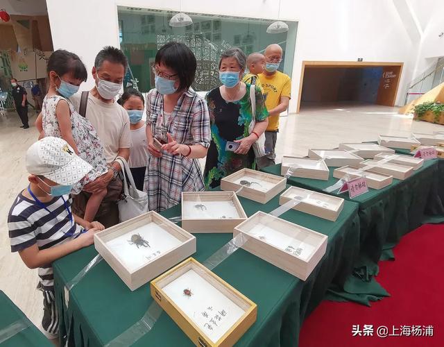 昆虫的秘密有哪些,了解昆虫世界的秘密 昆虫的秘密有哪些,了解昆虫世界的秘密