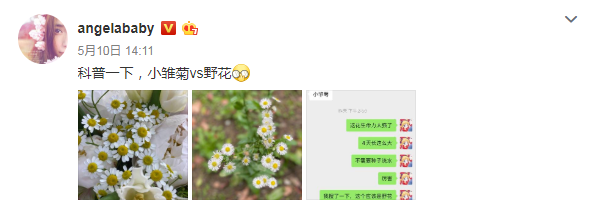 杨幂女神，微信头像，杨幂女神（看到baby：打扰了）