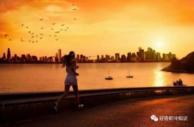 压轴是第几个出场，开会时最后一个出场的可以说是压轴出场吗（情绪的最佳匹配运动）