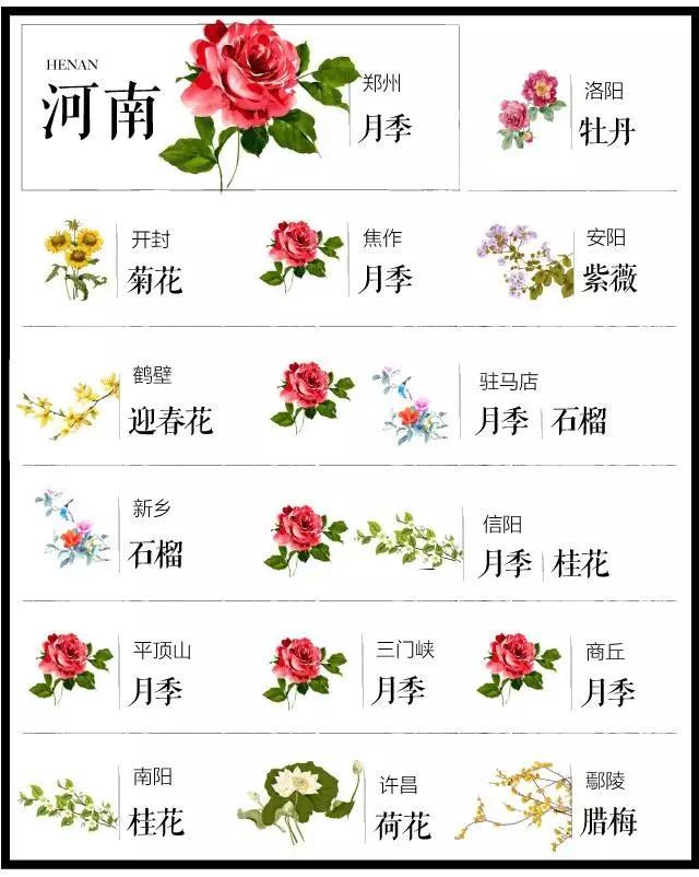 城市的市花有哪些花，关于全国各城市市花及意义