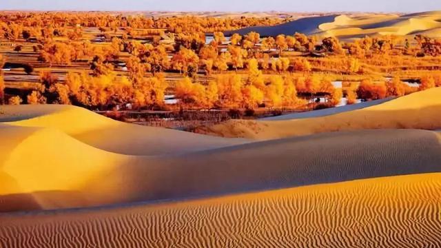 盆地都有哪些类型，盆地主要有哪些（中国四大盆地——塔里木盆地）