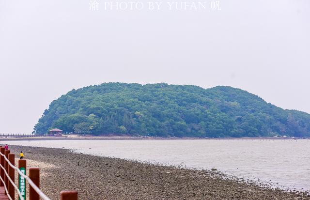 海陵岛红树林赶海攻略，海陵岛不只有碧海银沙