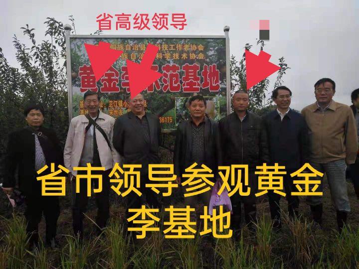 赚钱的好项目(投资小利润高的小生意)