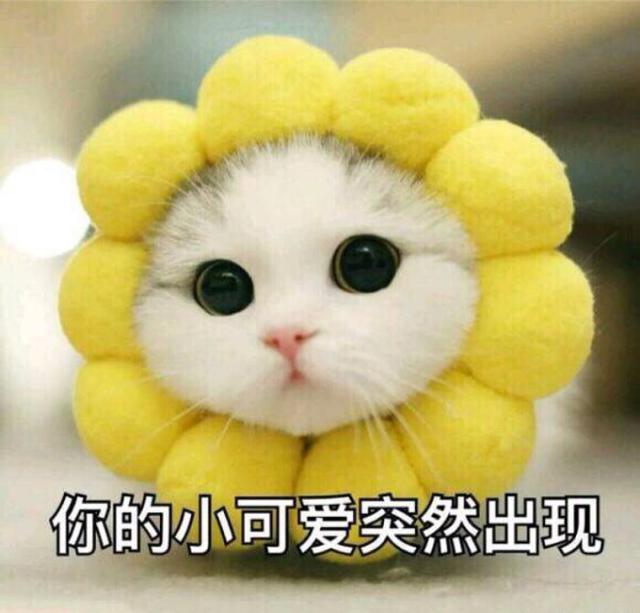 黄原胶是什么东西，结冷胶是什么东西（面膜中卡波姆黄原胶这种“增稠剂”排在成分表前面）