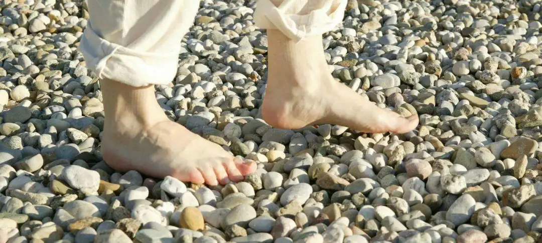 海波丽是什么材料，海波丽是海绵吗（源自1916年的经典国货）