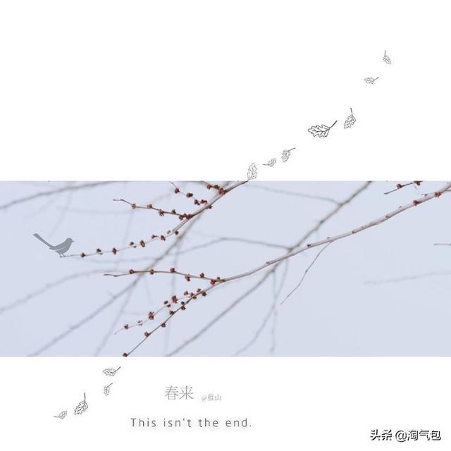 12个月都有什么情人节，二月没过情人节的今天补上