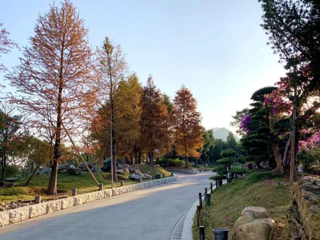 韶关云门寺，韶关云门寺图片（韶关这座色彩斑斓的古寺现在去正好）