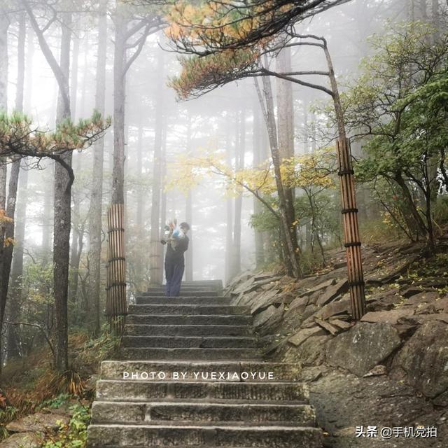 轻烟老树寒鸦什么意思，轻烟老树寒鸦前面一句是什么（不妨跟着“古诗”拍拍看）