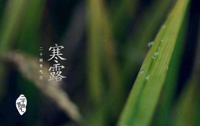 大雁南飞是什么季节，大雁南飞是什么季节?( ) A春秋 B春夏 C秋冬 D冬春（带你走进诗词里的节气）