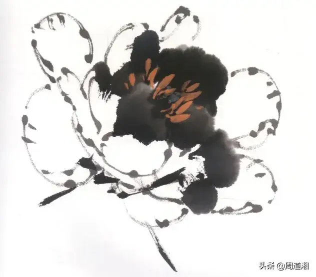 牡丹花头的画法对照表，写意牡丹花头的各种画法