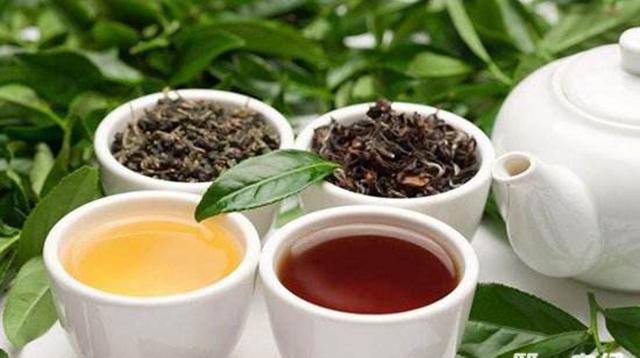 备孕期间能喝茶吗，备孕期间不能喝茶吗（孕妈妈到底能不能喝茶）