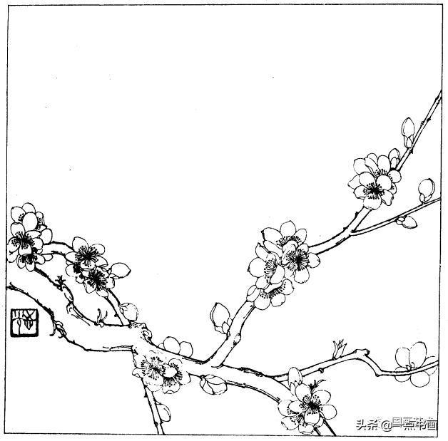简笔画报花名：手绘铅笔画“白杜鹃花”画法，简笔画报花名（百花苑——白描百花分享<一>）