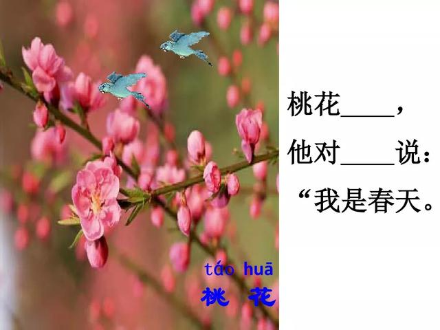 四季有什么特点，北方的四季有什么特点（部编版一年级上册第4课《四季》图文讲解）