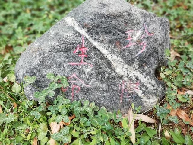 太阳地球月亮运行图，地球月球运动轨迹图（公园虽小，历史文化元素不少）