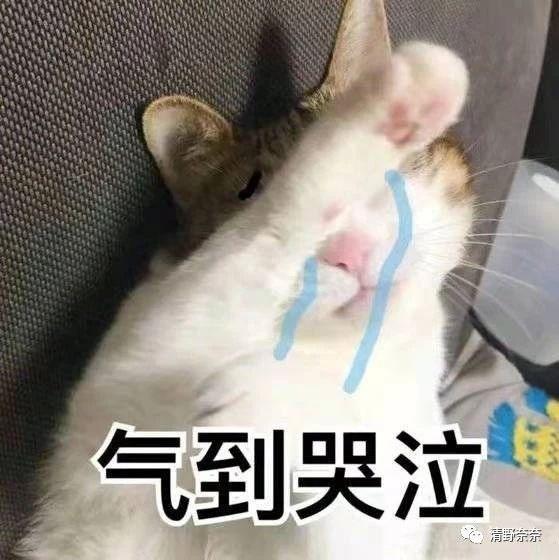cosdna化妆品成分查询，化妆品成分检测app（手把手教你辨别护肤品中的危险成分和有效成分）