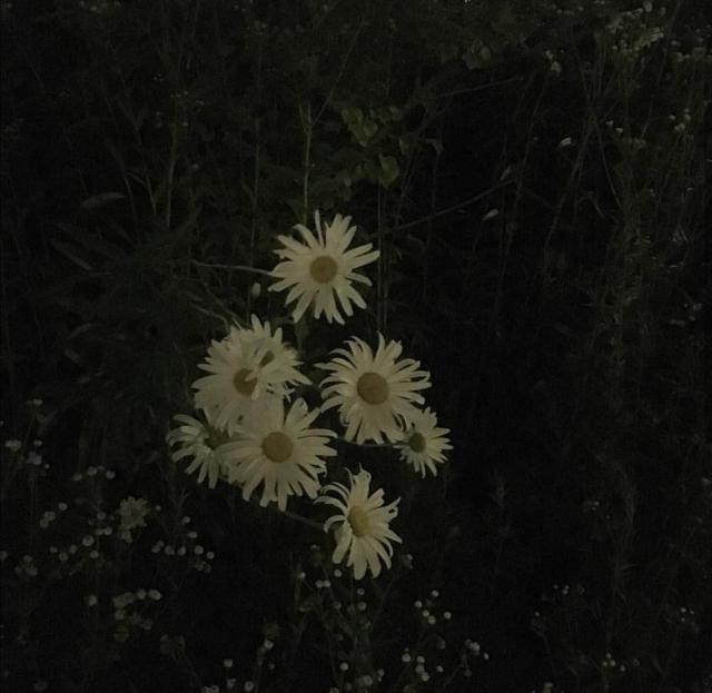 QQ个性名片背景图，qq名片背景图片怎么换（名片背景图‖中意你）