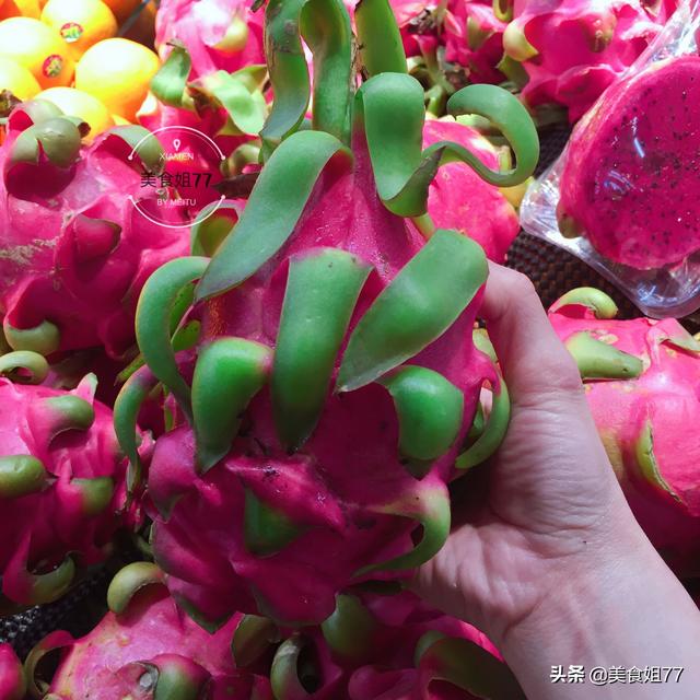 怀孕可以吃红心火龙果吗，孕妇早期可不可以吃红心火龙果（婆媳俩因买火龙果闹矛盾）