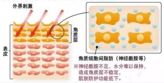 缤肌是正规牌子吗，缤肌是正规牌子安全吗