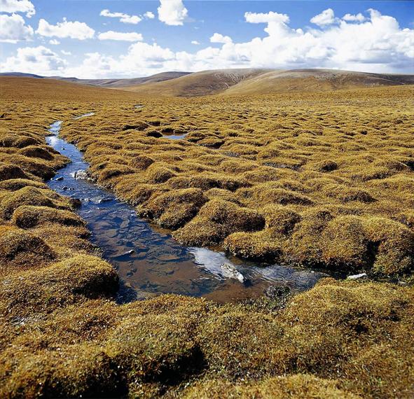 沅有芷兮澧有兰，思君子兮未敢言，沅有芷兮澧有兰 思公子兮未敢言拼音，微信头像（孕育中华民族的大河源头在哪里）